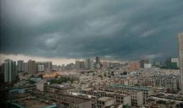 河南都市爆料鲁山事件最新消息